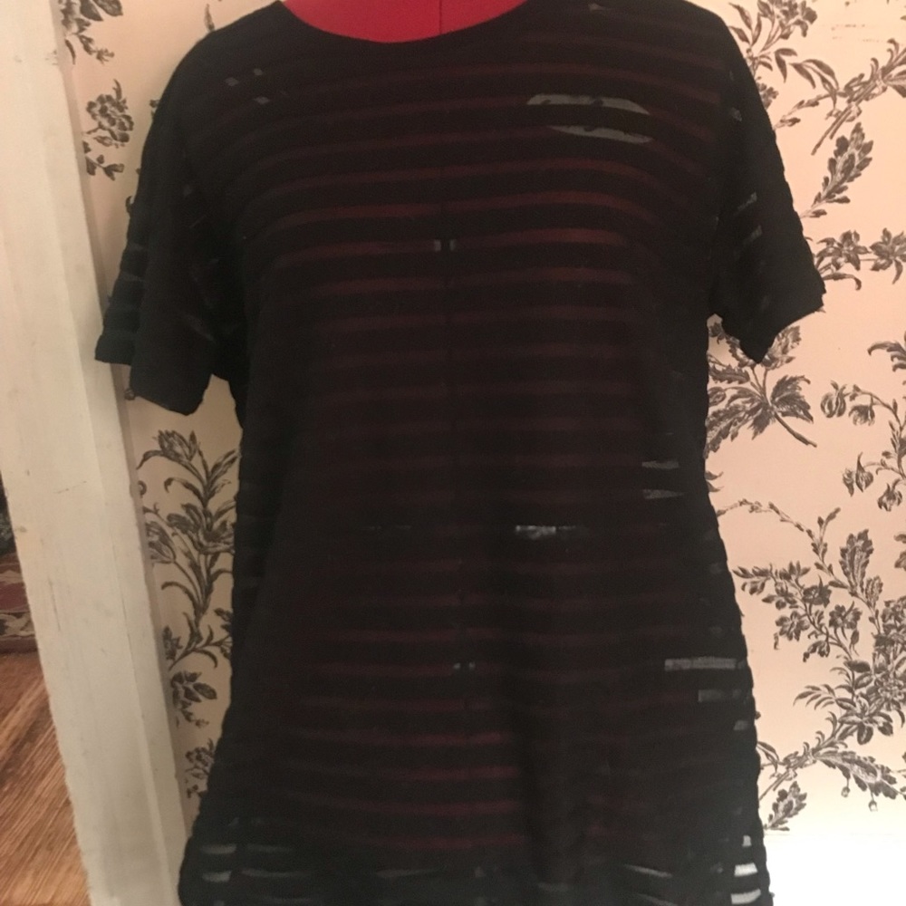 Black Sheer Paneling T-Shirt